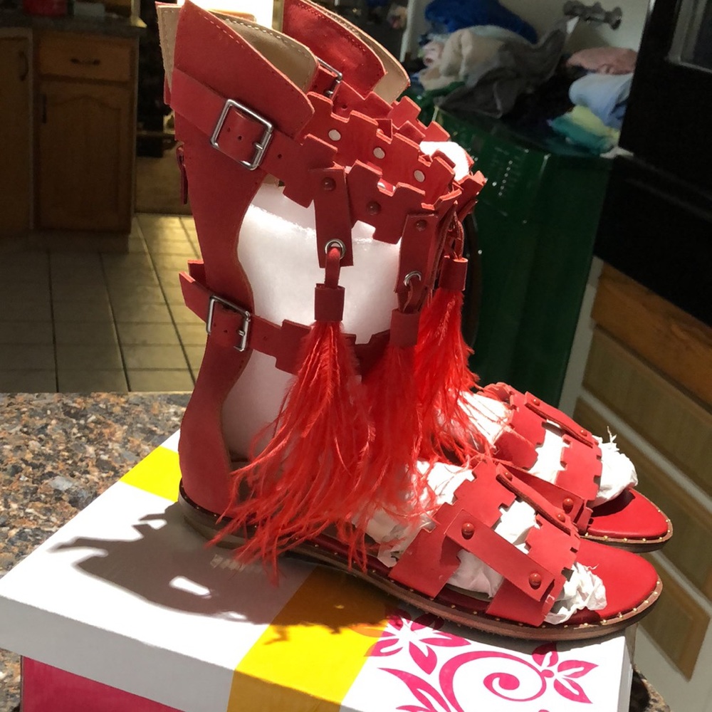 Gladiators - image 2